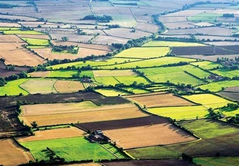 خرید زمین برای سرمایه گذاری
